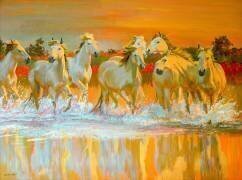 Camargue (William Ireland) - Muzeo.com