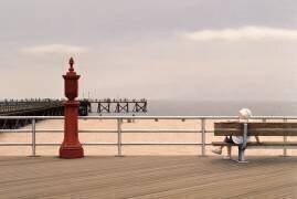 Coney Island III (Max Ferguson) - Muzeo.com