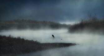 Dans le brouillard de la rivière (Takafumi Yamashita) - Muzeo.com
