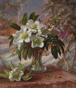Flowers in a Winter Glow (Albert Williams) - Muzeo.com