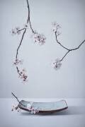 La première fleur de cerisier (Inna Karpova) - Muzeo.com