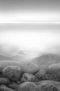 L'île de Moog (Paulo Abrantes ) - Muzeo.com
