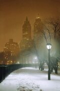New York Nocturne (Max Ferguson) - Muzeo.com