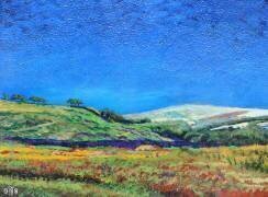 Paysage du Derbyshire (Trevor Neal) - Muzeo.com