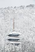 Tour d'hiver (Naoya Yoshida) - Muzeo.com