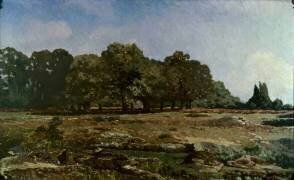 Allée de châtaigniers à la Celle-Saint-Cloud (Alfred Sisley) - Muzeo.com