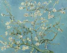 Amandier en fleurs (Vincent van Gogh) - Muzeo.com