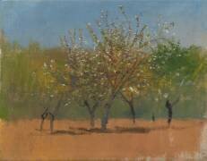 Arbres en fleurs (Laszlo Mednyanszky) - Muzeo.com