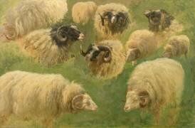 Béliers et moutons à tête noire, 10 esquisses (Rosa Bonheur) - Muzeo.com