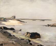 Bord de mer à Audresselles (Carolus-Duran) - Muzeo.com