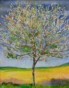 Cerisier à fleurs (Ferdinand Hodler) - Muzeo.com
