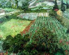 Champ avec coquelicots (Vincent van Gogh) - Muzeo.com