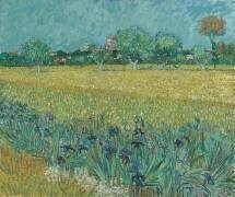 Champ de fleurs près d'Arles (Vincent van Gogh) - Muzeo.com