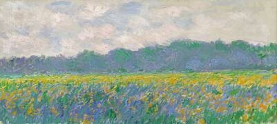 Champ d'iris jaunes à Giverny (Claude Monet) - Muzeo.com