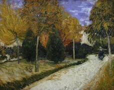 Chemin dans le parc à Arles (Vincent van Gogh) - Muzeo.com