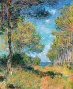 Chemin des Pins à Varengeville (Claude Monet) - Muzeo.com