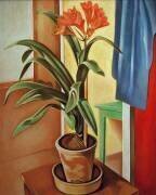 Clivia (Alexander Kanoldt) - Muzeo.com