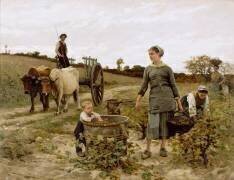 Coin de vigne, Languedoc (Edouard Debat-Ponsan) - Muzeo.com