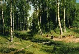 Dans la forêt de bouleaux (Ivan Chichkine) - Muzeo.com