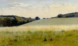 Dans les champs de Diélette (Manche), petit port dans la presqu'île du Cotentin près de Cherbourg (Alphonse Osbert) - Muzeo.com