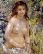 Étude : Torse, effet de la lumière du soleil (Auguste Renoir) - Muzeo.com