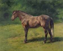 Etude de cheval gris au vert (Rosa Bonheur) - Muzeo.com