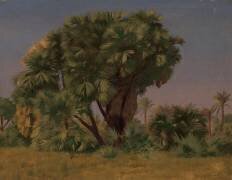 Étude des palmiers (Jean-Léon Gérôme) - Muzeo.com