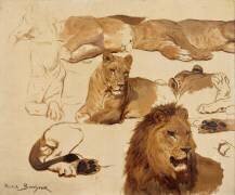 Etudes de lion et de lionne, 11 esquisses (Rosa Bonheur) - Muzeo.com
