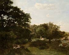 Forêt de Fontainebleau (Frédéric Bazille) - Muzeo.com