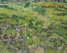 Herbe haute avec papillons (Vincent van Gogh) - Muzeo.com