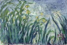 Iris jaunes et violets (Claude Monet) - Muzeo.com
