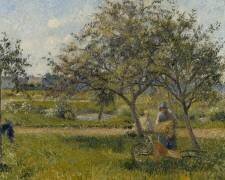 La brouette, verger (Camille Pissarro) - Muzeo.com