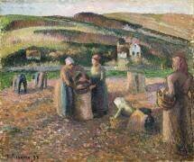 La cueillette des pommes de terre (Camille Pissarro) - Muzeo.com