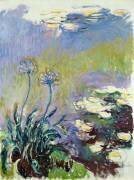 L'Agapanthus (Claude Monet) - Muzeo.com