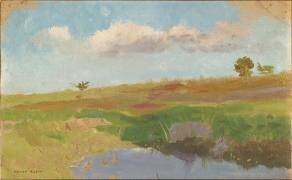 Lande avec une mare (Odilon Redon) - Muzeo.com
