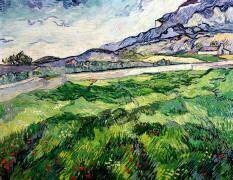 Le champ de blé vert derrière l'asile (Vincent van Gogh) - Muzeo.com