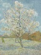 Le pêcher rose (Vincent van Gogh) - Muzeo.com