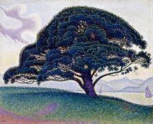 Le Pin Bonaventure (Paul Signac) - Muzeo.com