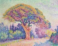 Le Pin à St. Tropez (Paul Signac) - Muzeo.com