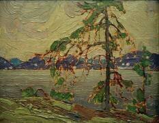 Le pin gris (Skizze) (Tom Thomson) - Muzeo.com