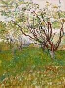 Le verger en fleurs (Vincent van Gogh) - Muzeo.com