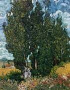 Les cyprès (Vincent van Gogh) - Muzeo.com