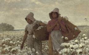 Les Ramasseuses de Coton (Winslow Homer) - Muzeo.com