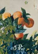 Oranges sur une branche (Winslow Homer) - Muzeo.com