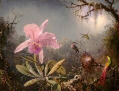 Orchidée Cattleya et trois colibris (Martin Johnson Heade) - Muzeo.com