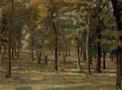 Parc de Richmond (Spencer Frederick Gore) - Muzeo.com