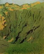 Paroi rocheuse près de Bex (Félix Vallotton) - Muzeo.com