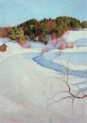 Paysage d'hiver, 1896 (Pekka Halonen) - Muzeo.com