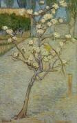 Petit poirier en fleur (Vincent van Gogh) - Muzeo.com