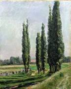Peupliers sur les Bancs de la Rive à Argenteuil (Gustave Caillebotte) - Muzeo.com